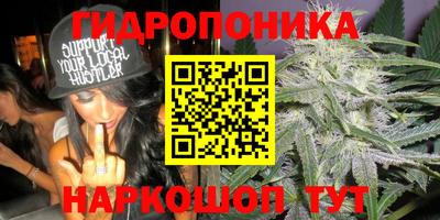 PSILOCYBIN Заводоуковск