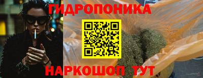 PSILOCYBIN Заводоуковск